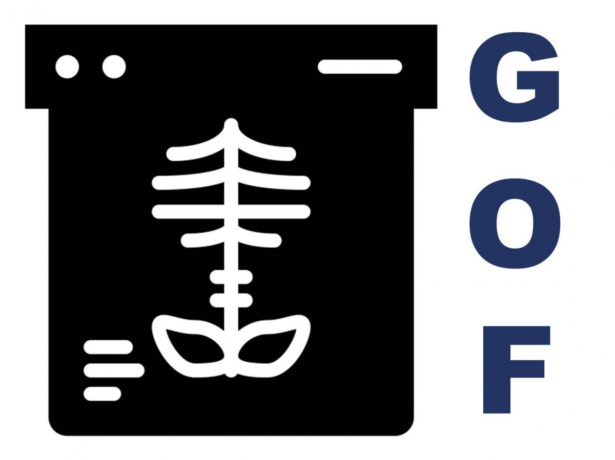 Loãng xương (dự án GOF)