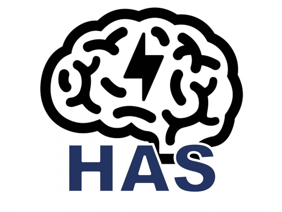 Đột quỵ (dự án HAS)